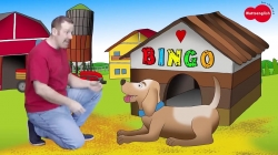 داستانهای استیو و مگی - قسمت 3